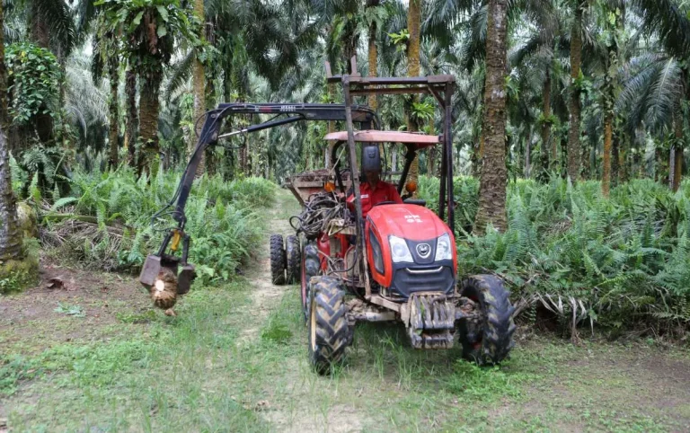 Grafik kenaikan laba bersih dan prospek laba saham DSNG 2026 yang tumbuh 61 persen.